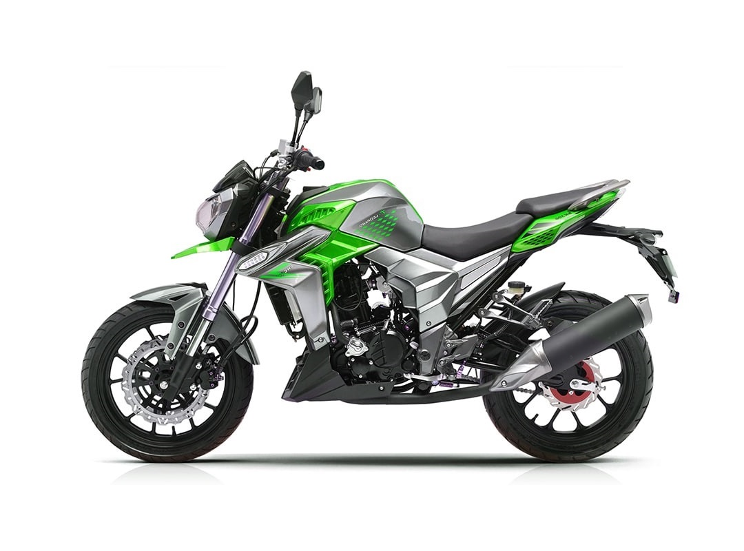 Мотоцикл Regulmoto T-Leopard 300 Зеленый Мотоцикл Regulmoto T-Leopard 300 Зеленый