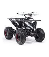 Квадроцикл BSE XT-1 (Черный)