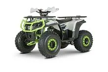 Квадроцикл Yacota DRAGON ONE 125 (Белый)