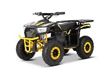 Квадроцикл Yacota SIRIUS 1000W (Черно-желтый) 