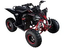 Квадроцикл Mikilon Rapide 125S (Черный)