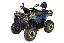 Квадроцикл Avantis Ray 200 Premium (Серый)