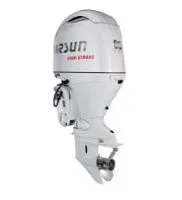 Мотор лодочный подвесной Parsun F85FEL-T-EFI White