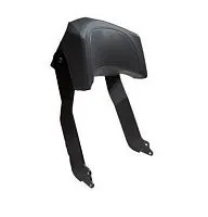 Пассажирская спинка Skandic