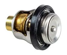 Термостат DT9.9-50/DF9.9-70 (60C) 