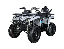 Квадроцикл Avantis Forester Long 200 Lux (Черный)