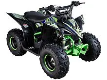 Квадроцикл Mikilon Rapide 110 (Черный)