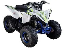 Квадроцикл Mikilon Rapide 110 (Белый)