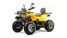 Квадроцикл MotoLand 200 Wild Track X WINCH 