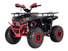Квадроцикл Yacota VEKTOR 125 LUX (Черно-красный)
