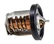 Термостат Suzuki DF9.9-15/DF25V (2 цилиндра) (60C)