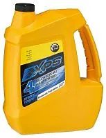 Масло синтетическое моторное XPS 4Т 0W-20 3,785л (для снегохода)