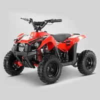 Квадроцикл Apollo RFZ E-KING KONG 1000W (Красный)