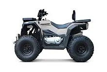 Квадроцикл Progasi RaceJumper MaxPower 200 (Серый)