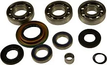 Ремкомплект переднего/заднего редуктора BRP Can-Am G2/G1  Allballs 