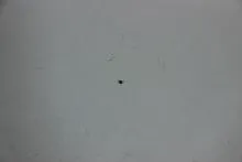 Шарик клапана амортизатора к квадроциклу CFMOTO CFORCE 1000 EPS