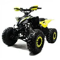 Квадроцикл MotoLand VOX125 RAPTOR