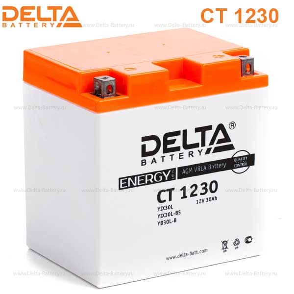 Аккумулятор Delta Energy YTX30L-BS  Аккумулятор Delta Energy YTX30L-BS