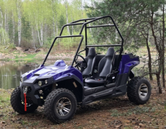 Электробагги SCANMOTO Raptor Синий Электробагги SCANMOTO Raptor Синий