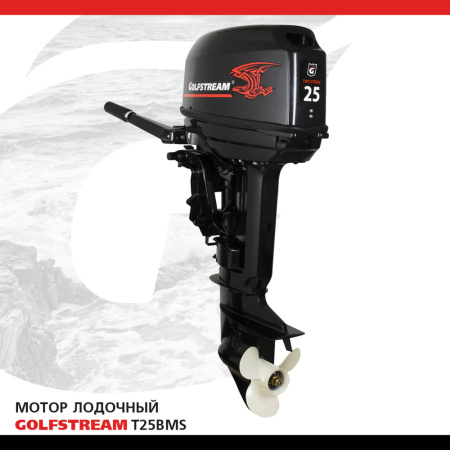 Мотор лодочный подвесной GOLFSTREAM T25BMS Мотор лодочный подвесной GOLFSTREAM T25BMS