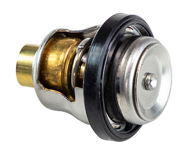 Термостат DT9.9-50/DF9.9-70 (60C)  Термостат DT9.9-50/DF9.9-70 (60C)