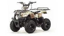 Квадроцикл MotoLand 110 Rider Квадроцикл MotoLand 110 Rider